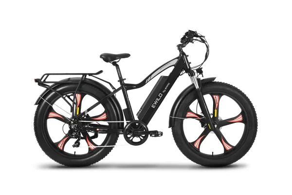 E-Wild Pro 2.0 electric bike