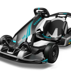 Segway GoKart